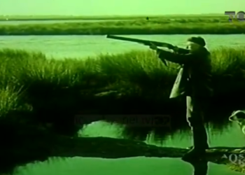 Top Story / Hunting, how it functioned well before the ’90s and how it degraded afterwards