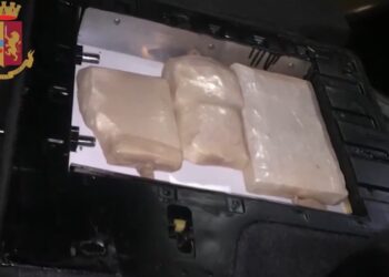 Name / Part of the 34 arrested for cocaine trafficking in Italy, who is the arrested Albanian!