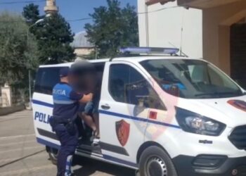 Caught with cannabis seeds, 19-year-old arrested in Shkodra
