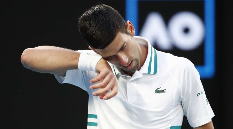 Djokovic, the “king” of the Australian Open, easily defeated the Russian Medvedev