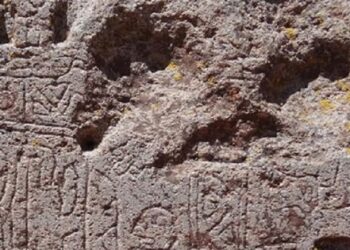 17300 year old drawings of kangaroos are discovered (Photos)