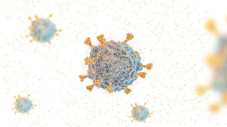 Omicron could end pandemic / US experts predict what will happen soon