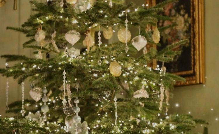 Year-end trend, natural fir from Megatek