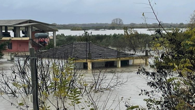 Rainfall and flooding / Head of Civil Emergencies: Vjosa critical level has already dropped; Zv. Minister Bici: All damages are being inspected