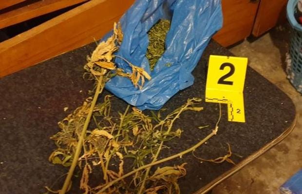 With shotguns, cannabis and bullets at home, the police ‘caught the mat’ two young men in Tepelena