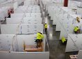 COVID-19, England prepares temporary field hospitals