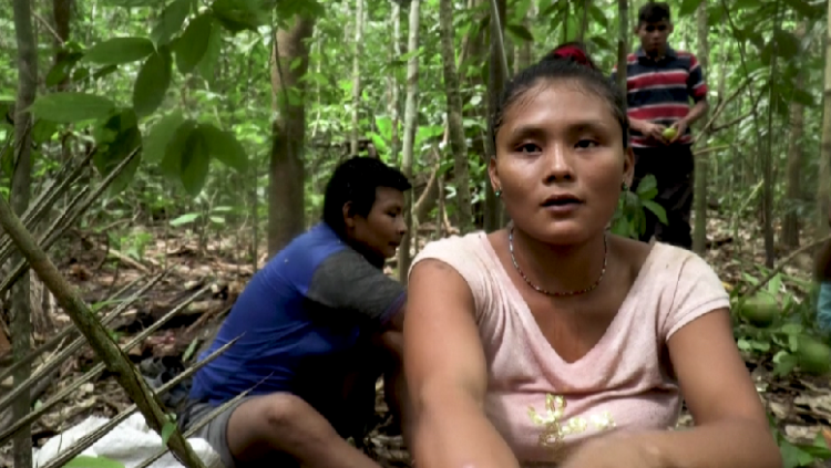 Violence in Colombian Amazon expels indigenous nomadic populations from ancestral lands (photos)