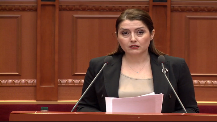 “Children in the Care of the Republic” / Manastirliu in the Assembly: Parental salary for the child, concrete support for the sons of heroes