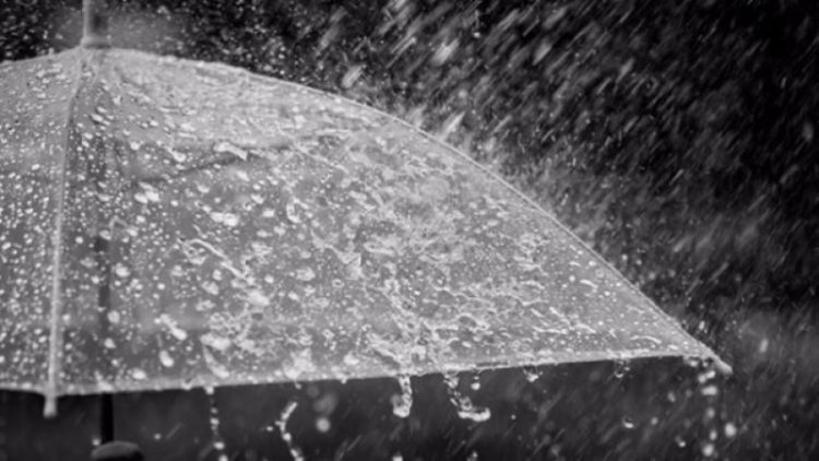 Weather forecast / Weekend comes with rainfall and lower temperatures