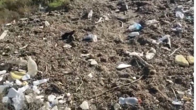 Durrës is occupied by waste and kelp