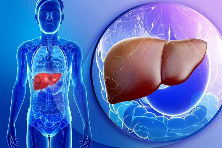 Get acquainted (gain, obtain) with present-day techniques that came from Inflammation and Weight Gain