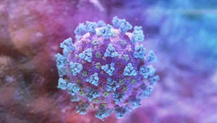 Chinese scientists: T cells protect better against Covid-19 than antibodies