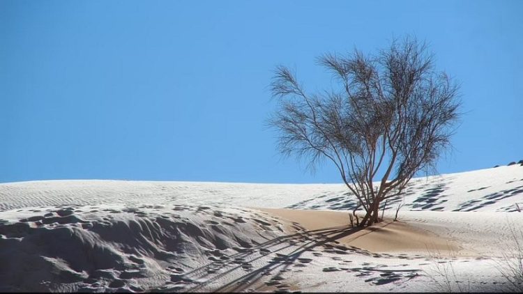 Rare phenomenon! Sahara Desert is covered by snow (Photos)