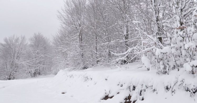 Acarta temperatures ‘grip’ Dibra / Road problems, for three days many areas are without light