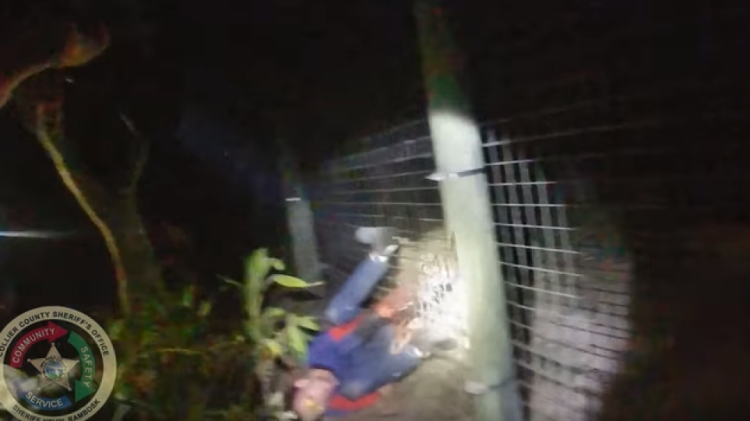 The moment a tiger attacks a zoo employee, the animal is killed by the police (VIDEO)
