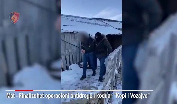 They filled the village in Dibër with cannabis / 14 arrested! The group was led by the village elder and his two sons