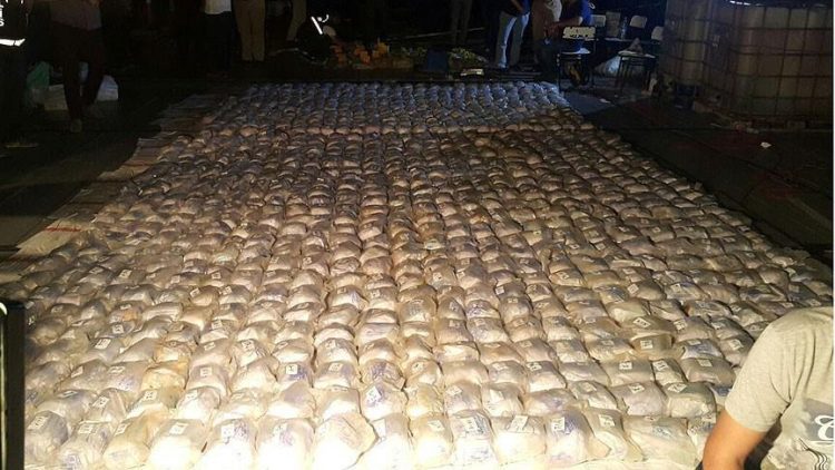 Cocaine in coconuts / 20,000 coconuts filled with cocaine would be sent to Italy