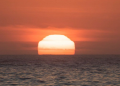Australia is on fire!  The record temperature is 50.7 degrees Celsius