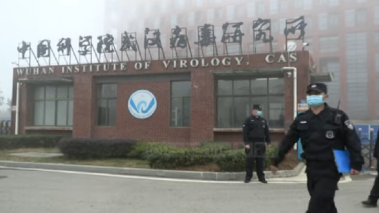 “Cabbage cigarettes” – isolated residents in China forced to exchange food