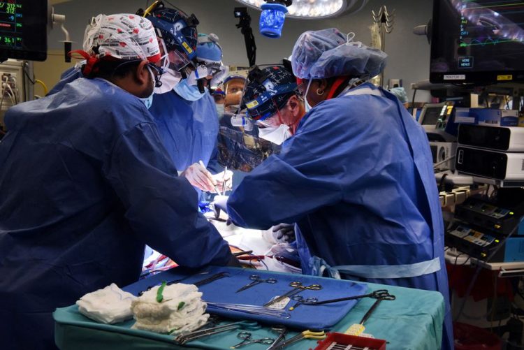 A pig’s heart is successfully transplanted into a human
