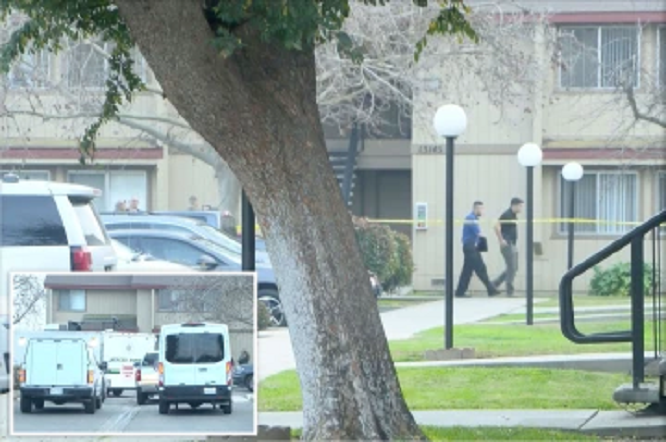 3 children dead, woman injured in possible suicide-suicide in California (photos)
