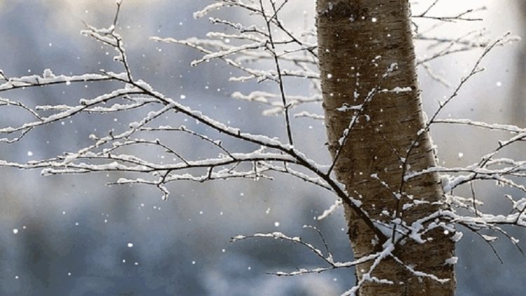 The cold also grips Kosovo, Prishtina marks the temperature -18 degrees C