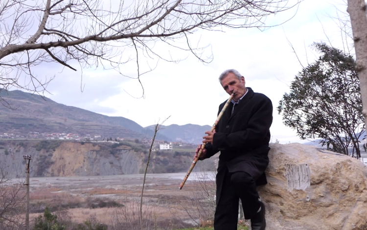 Shepherd’s music artist!  Interprets and produces insults