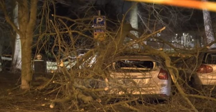 Malik uproots trees, crane collapses: Victim and damage across Europe
