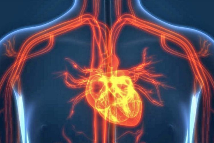 Hereditary risk of heart disease