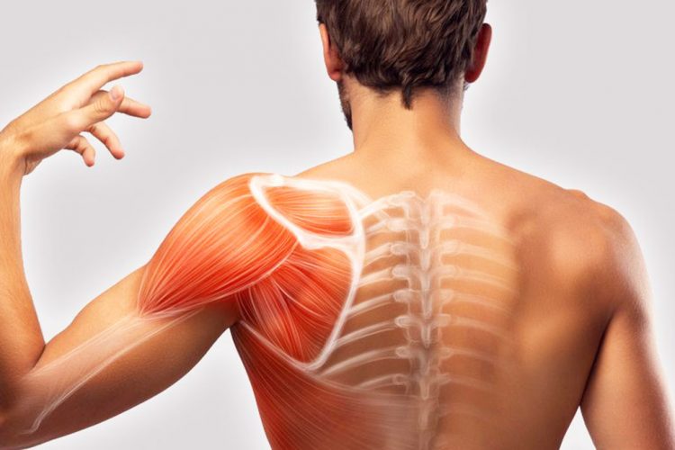 Reasons why your shoulder hurts when it gets cold, how to treat it