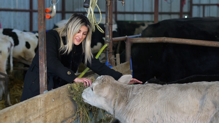 The doctor who became a farmer / The story of the doctor who today raises another 300 cows