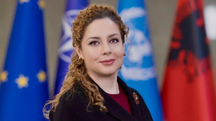The year starts well / Albania starts its 2-year mandate in the UN Security Council