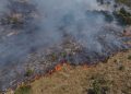 Fire in the area between Llogara and Dhërmi, is suspected to be intentional