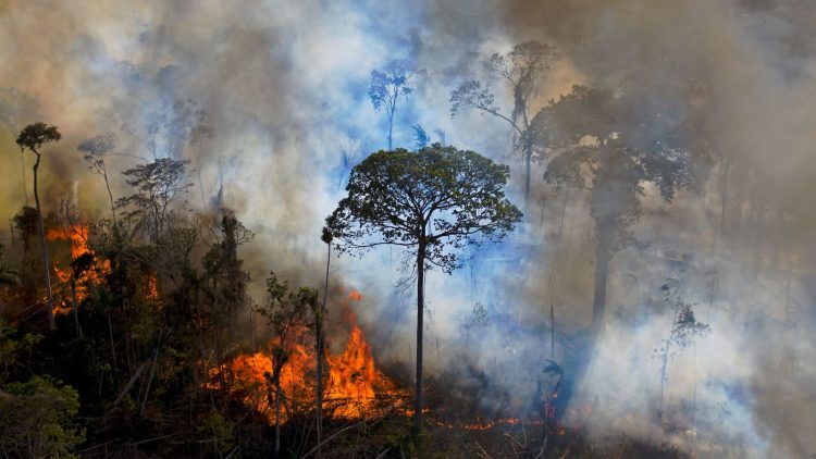 Fires erupt in the lungs of the world, the record heat in the Amazon!