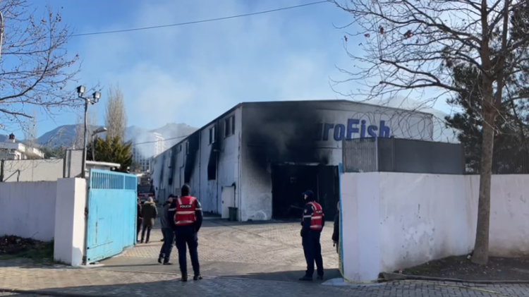 After three hours, the fire in the fish factory in Lezha is extinguished!