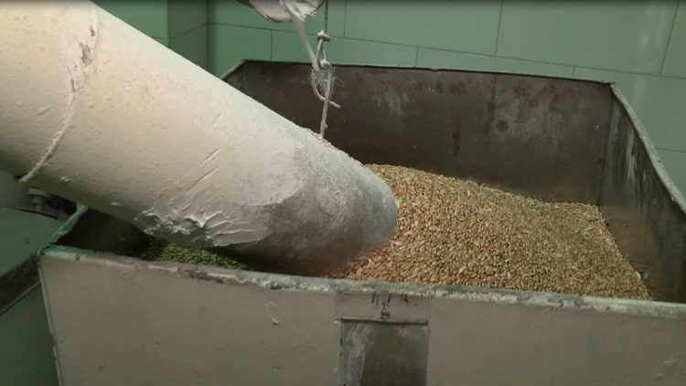 Bread price debate / Flour market under monitoring, decision in September