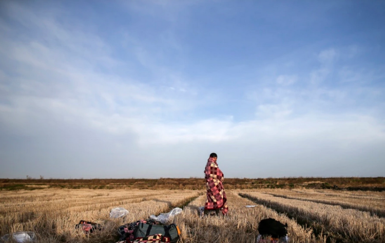 Turkey withdraws bodies of 12 frozen migrants on border with Greece