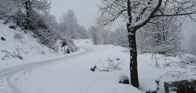 Snow and strong wind Dibër / Many administrative units without electricity