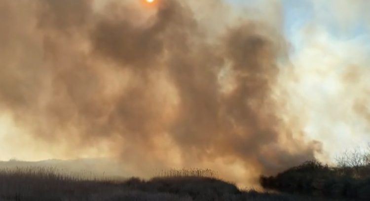 Fire in the lagoon of Kunes / Shengjin. Firefighters find it impossible to intervene