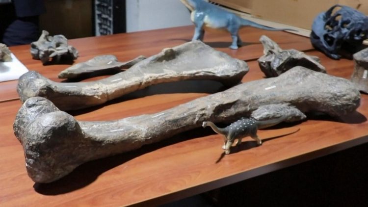Scientists are amazed: Dinosaurs escaped a flu pandemic millions of years ago!
