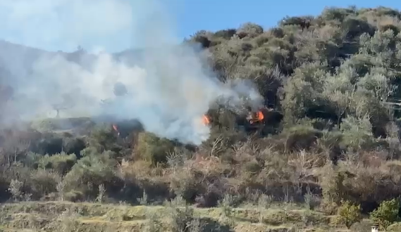 Fier / Kodra is engulfed in flames, dozens of olives are burned