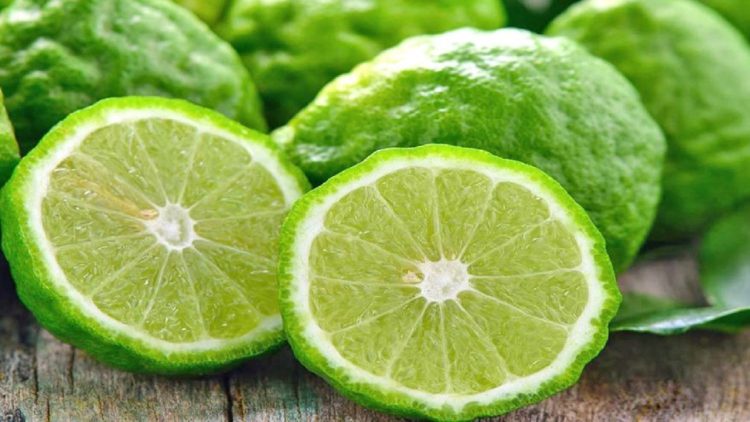 Profitable Bergamot, the most sought after in the world, for centuries in Albania