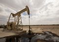 Oil for farmers, Agriculture opens the tender with a limit fund of 6.5 million euros