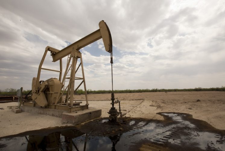 Oil for farmers, Agriculture opens the tender with a limit fund of 6.5 million euros