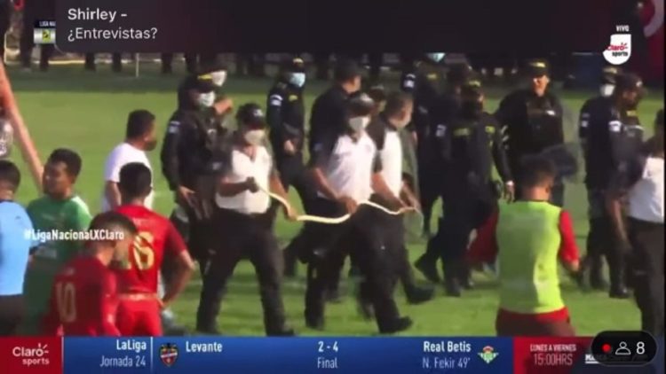 An “uninvited” reptile causes panic on the field, the referee suspends the match