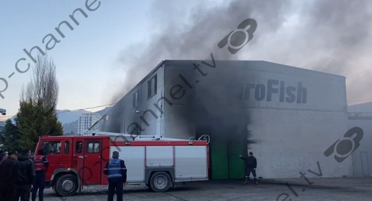 Fire in the warehouses of a fish factory in Lezha, the first details