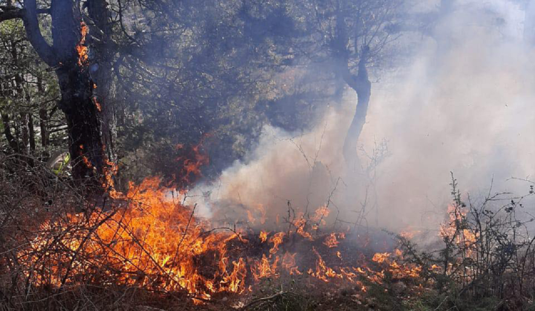 Fire in Elbasan too!  It is surrounded by pine forest flames