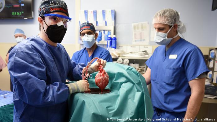 The pig heart patient dies
