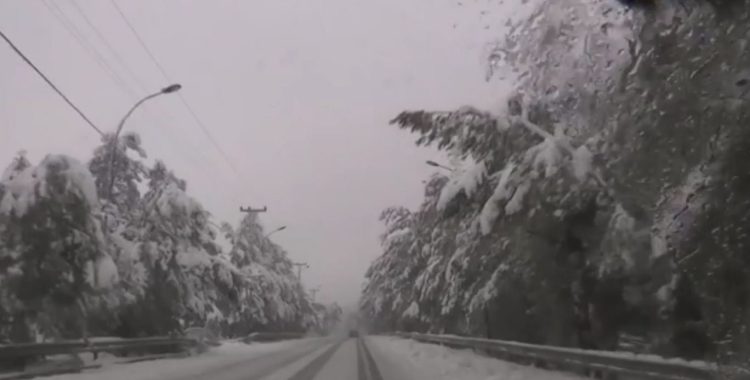 “Filippos” storm in Greece / Bad weather with snow and frost. Schools are closed
