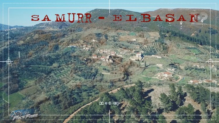 Fiks Fare / Environmental massacre, Samurri Elbasan forest towards destruction